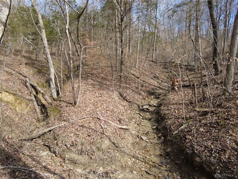 1897 Chestnut Ridge Road, West Union, OH 45693 Photo 6