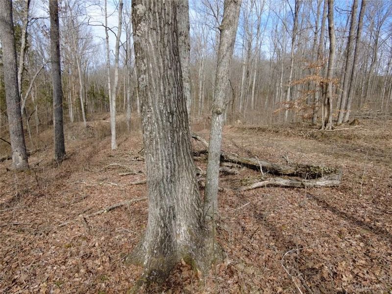 1897 Chestnut Ridge Road, West Union, OH 45693 Photo 7