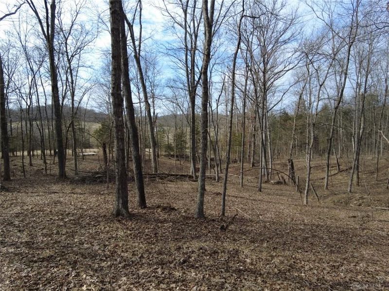 1897 Chestnut Ridge Road, West Union, OH 45693 Photo 8