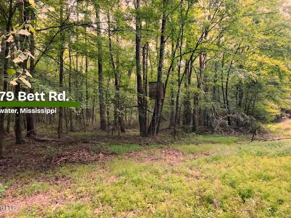 3579 Bett Road, Coldwater, MS 38618