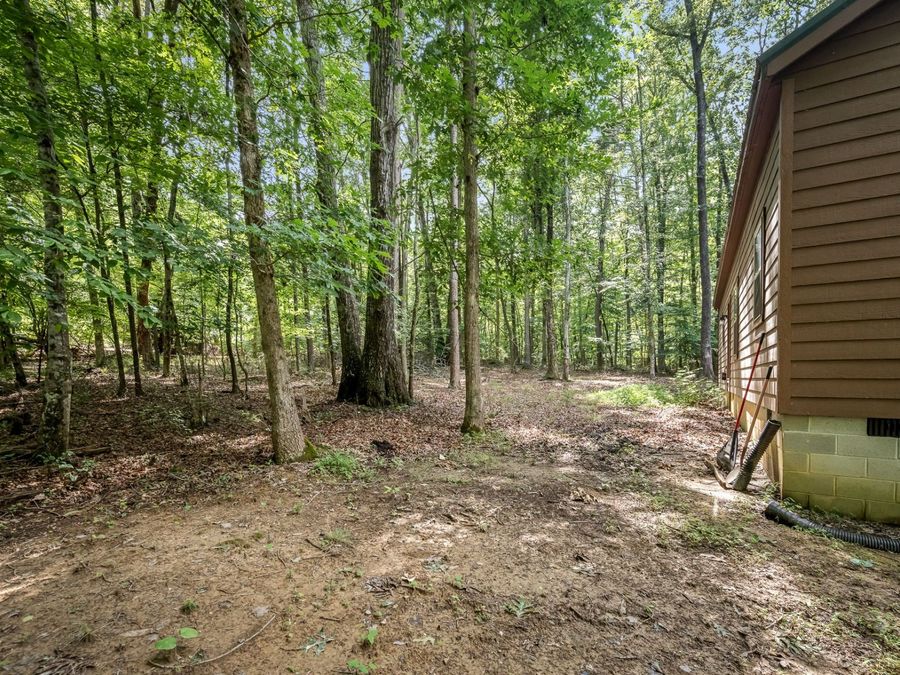Property Image 63