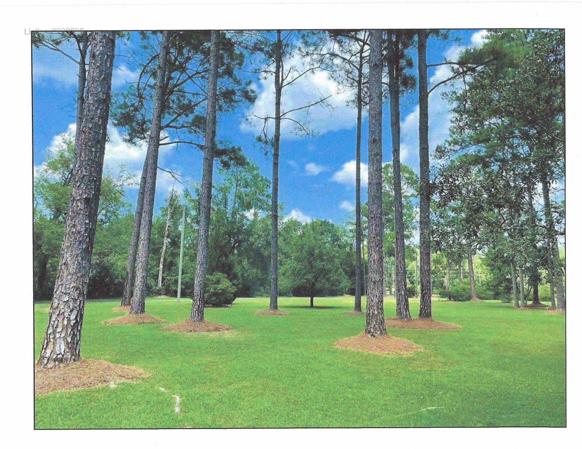 1818 Crawfordville Highway , Crawfordville, FL 32327 Photo