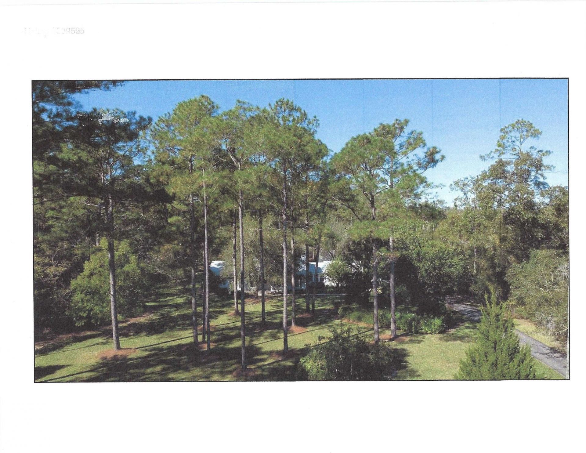 1818 Crawfordville Highway , Crawfordville, FL 32327 Photo