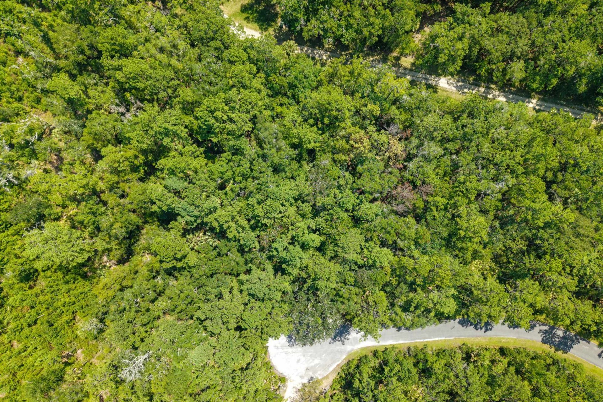 Xx Sergeant Preble Court , Saint Marks, FL 32355 Photo