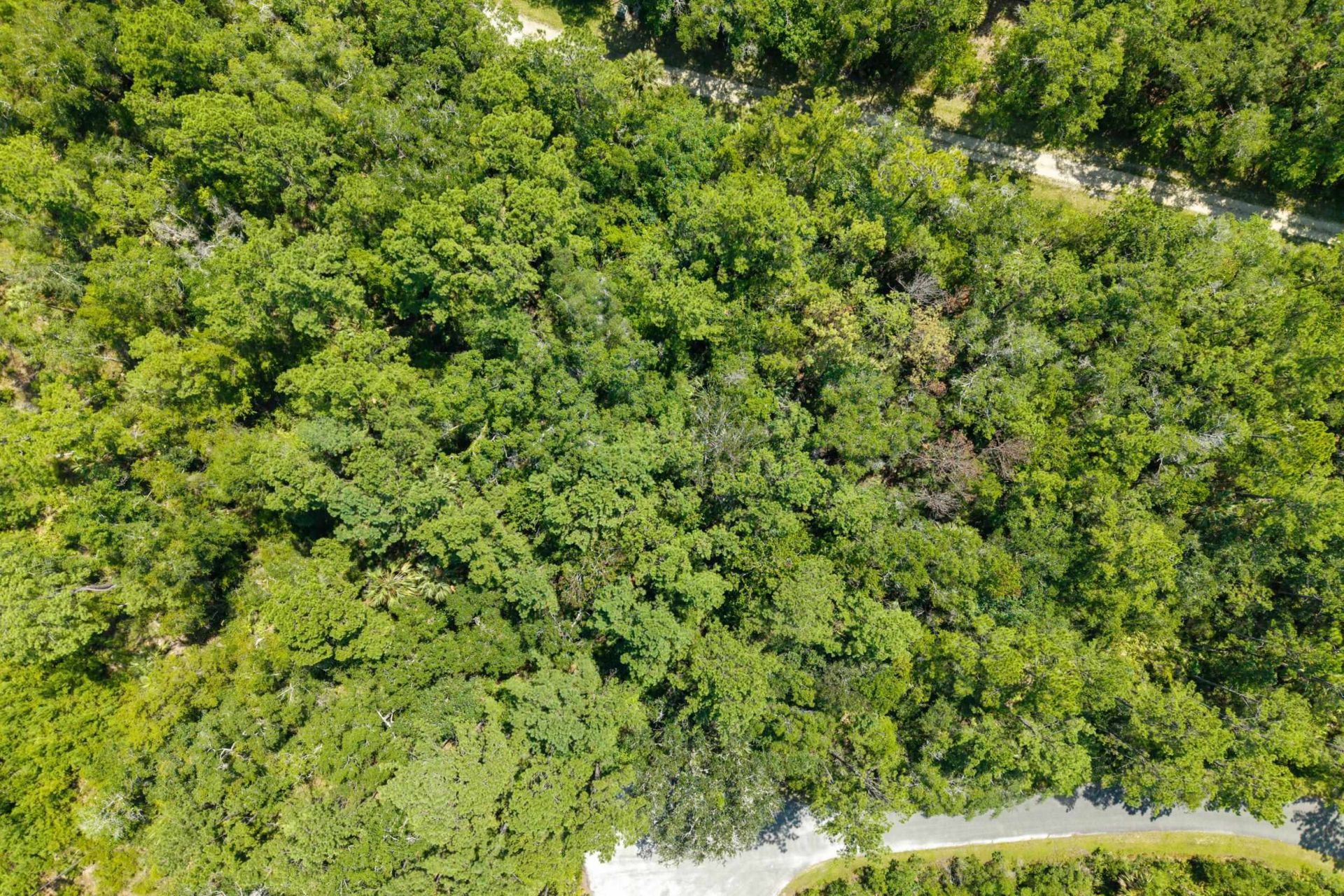 Xx Sergeant Preble Court , Saint Marks, FL 32355 Photo