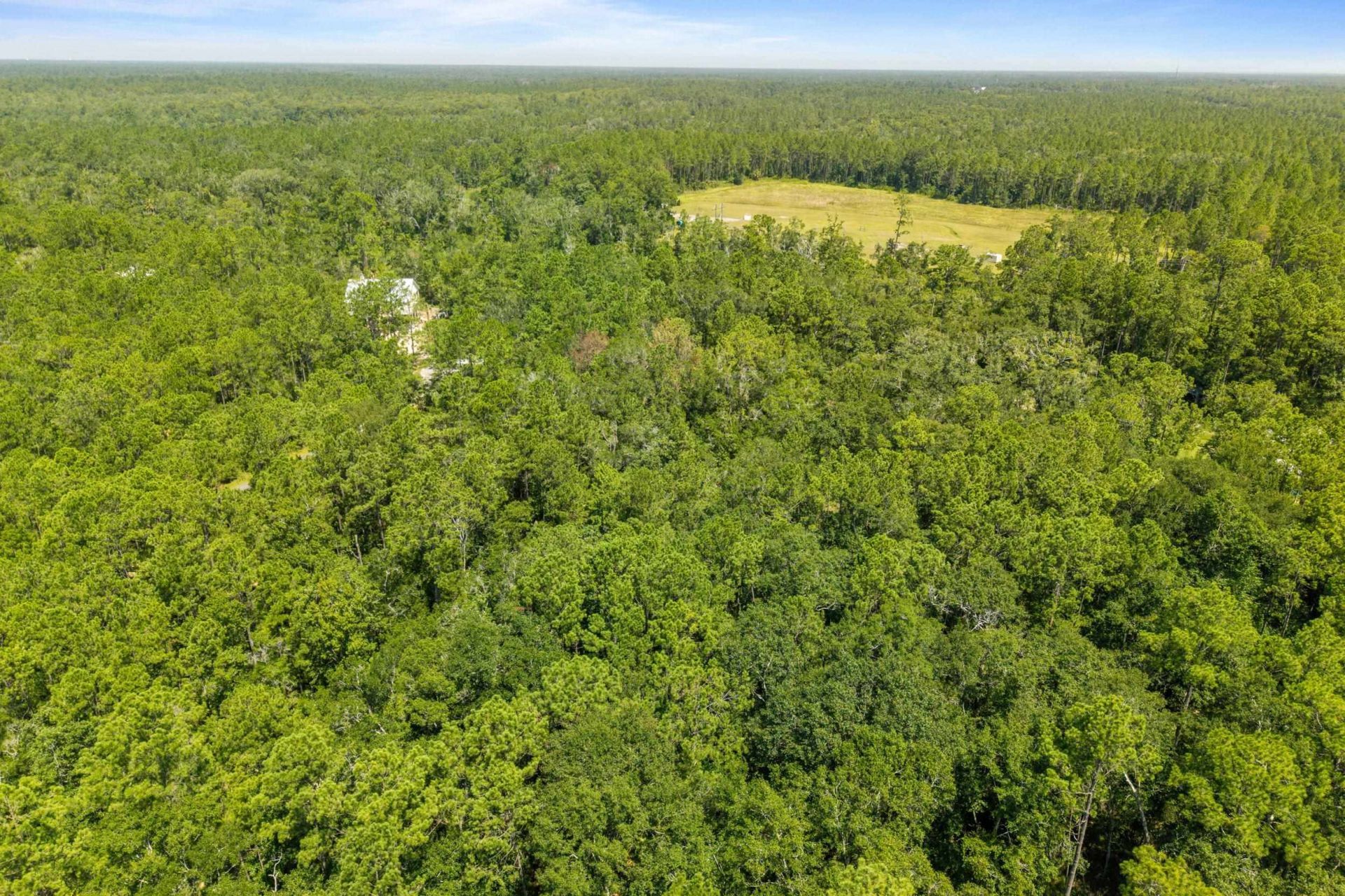 Xx Sergeant Preble Court , Saint Marks, FL 32355 Photo