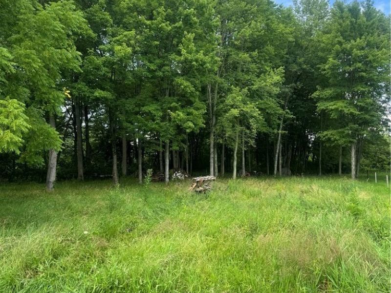 W Egypt Road, Minerva, OH 44657 Photo 1