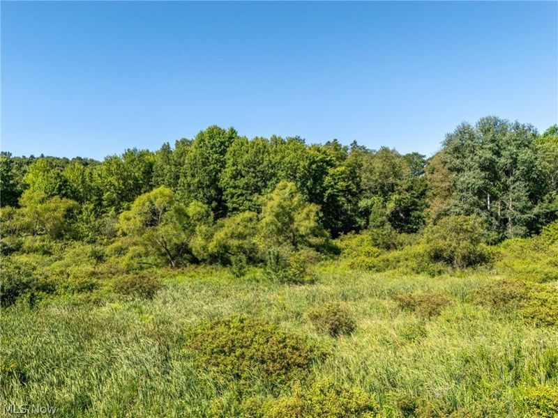 W Egypt Road, Minerva, OH 44657 Photo 10