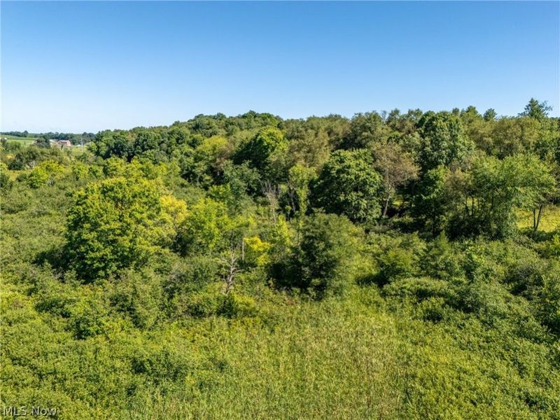 W Egypt Road, Minerva, OH 44657 Photo 12