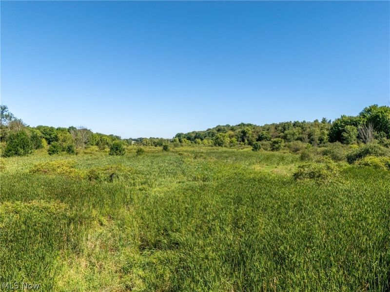 W Egypt Road, Minerva, OH 44657 Photo 9