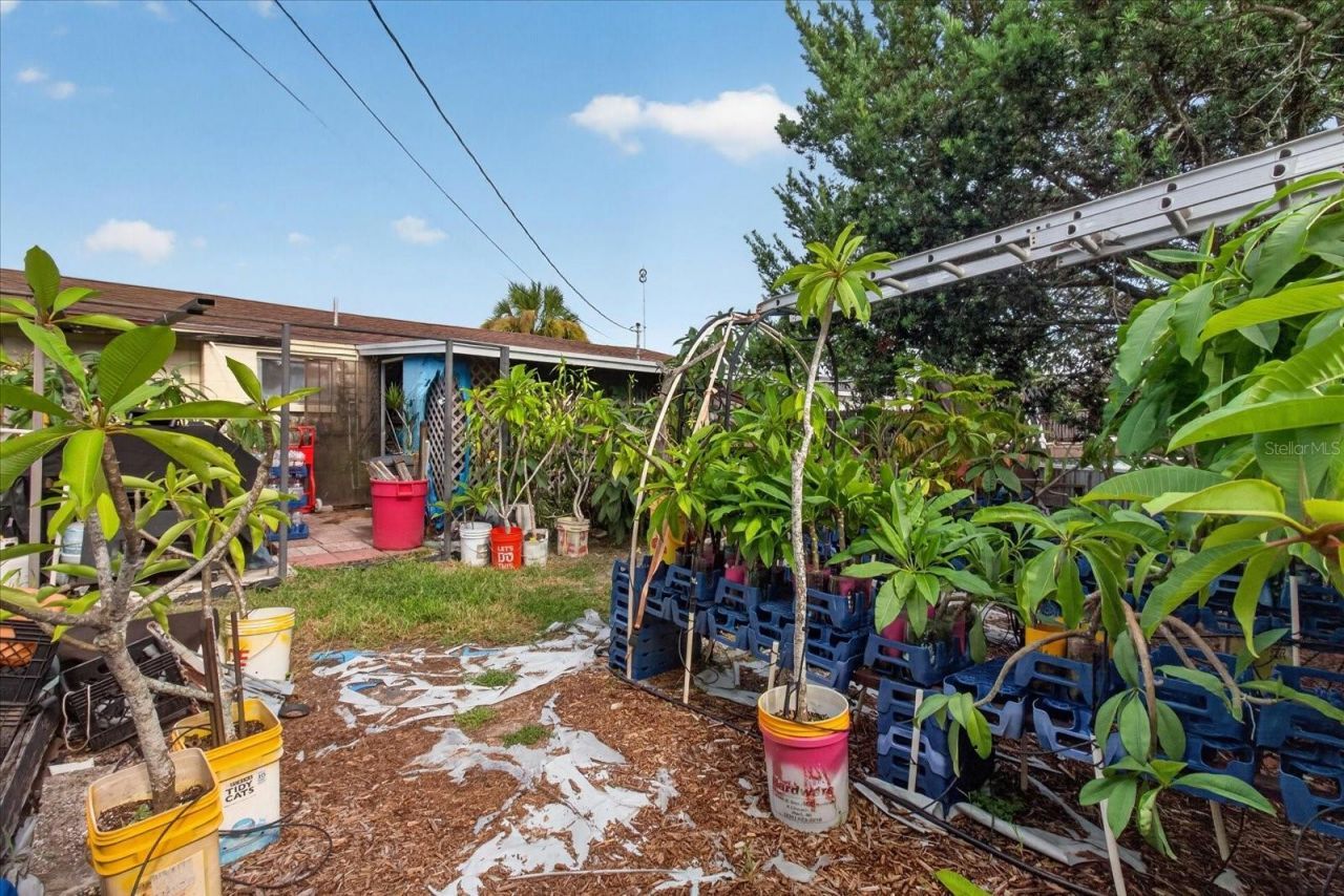 4448 Terry Loop , New Port Richey, FL 34652 Photo