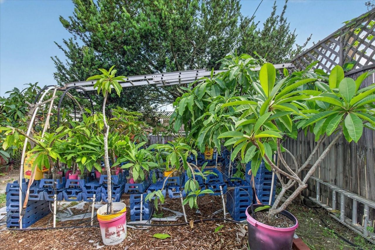 4448 Terry Loop , New Port Richey, FL 34652 Photo