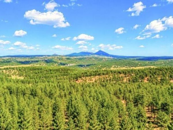 196 Freeman Drive , Florissant, CO 80816