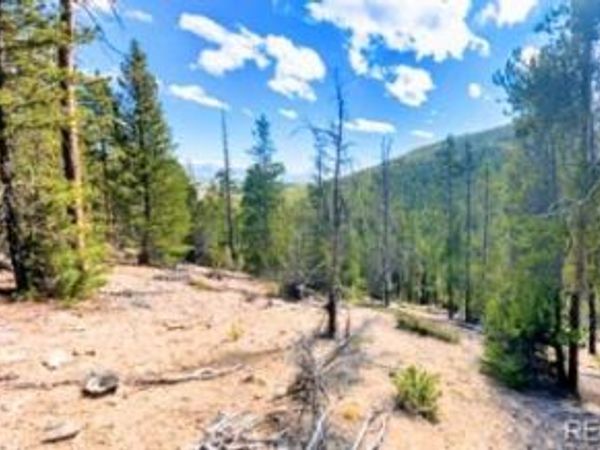 111 Kevin Gulch Road , Leadville, CO 80461
