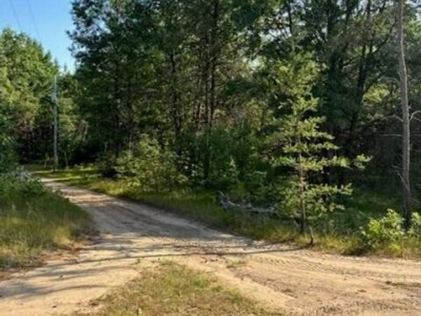 1642 Muskegon Road, Harrison, MI 48625