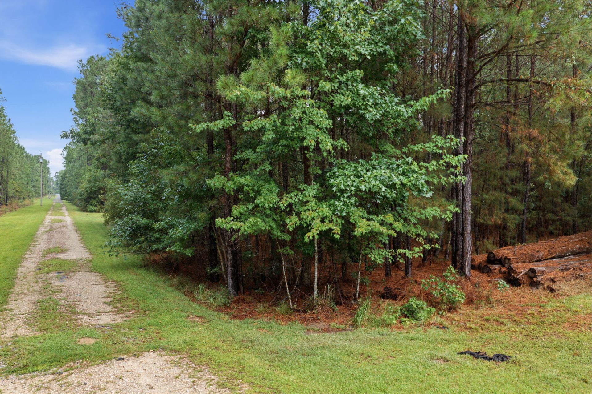 5511 Huckleberry Lane Photo 10