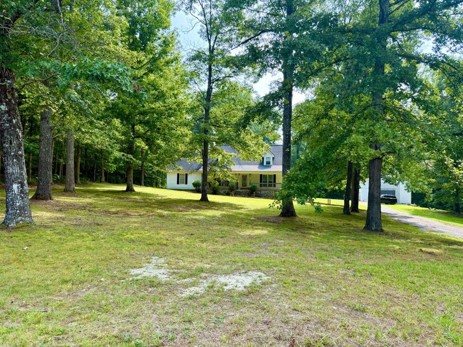 Property Image 40