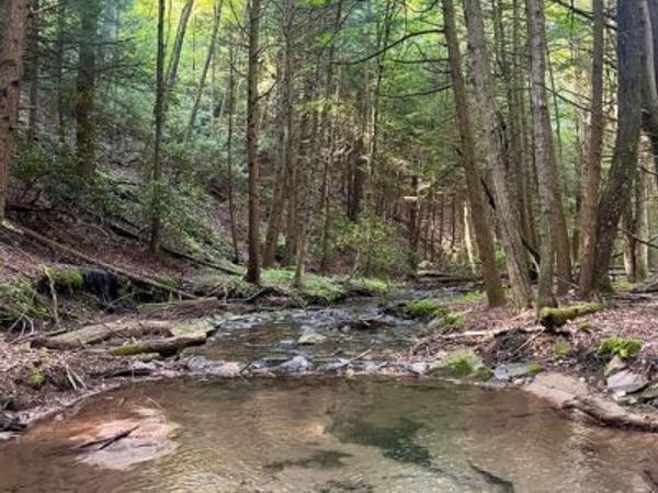 2600 BEECH CREEK MOUNTAIN ROAD , BEECH CREEK, PA 16822
