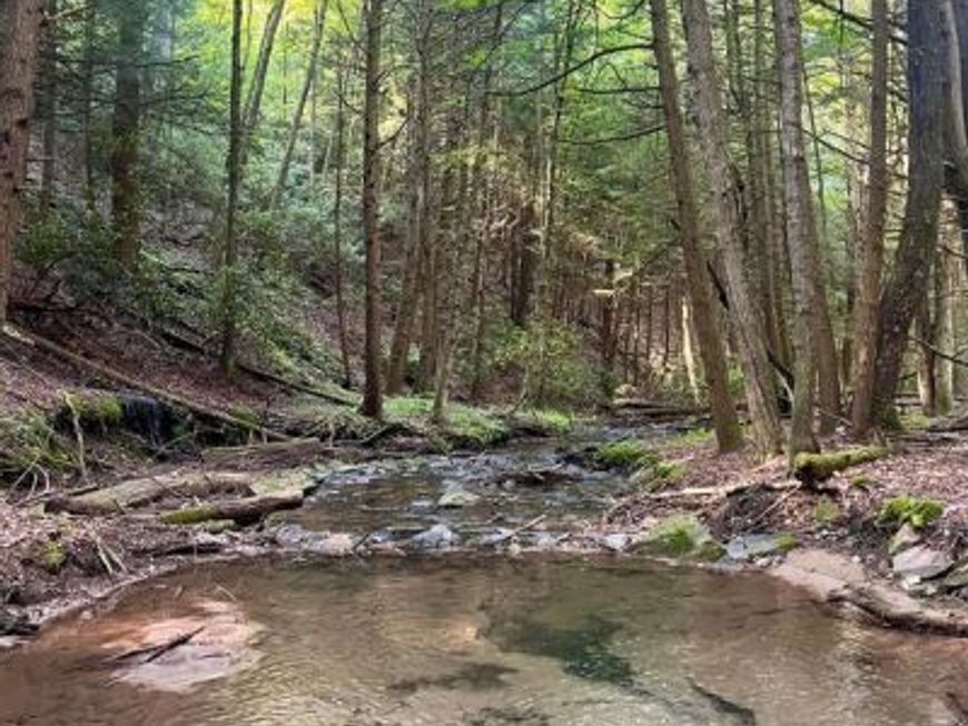 2600 Beech Creek Mountain Road , Beech Creek, PA 16822 Main Photo
