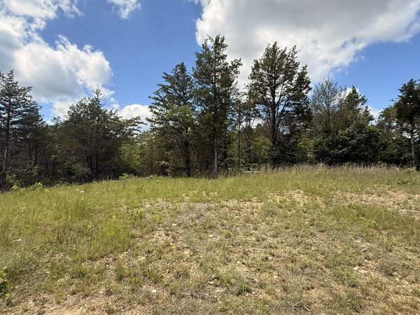 Lot 3 Walker Cemetary Road, Bulls Gap, TN 37711