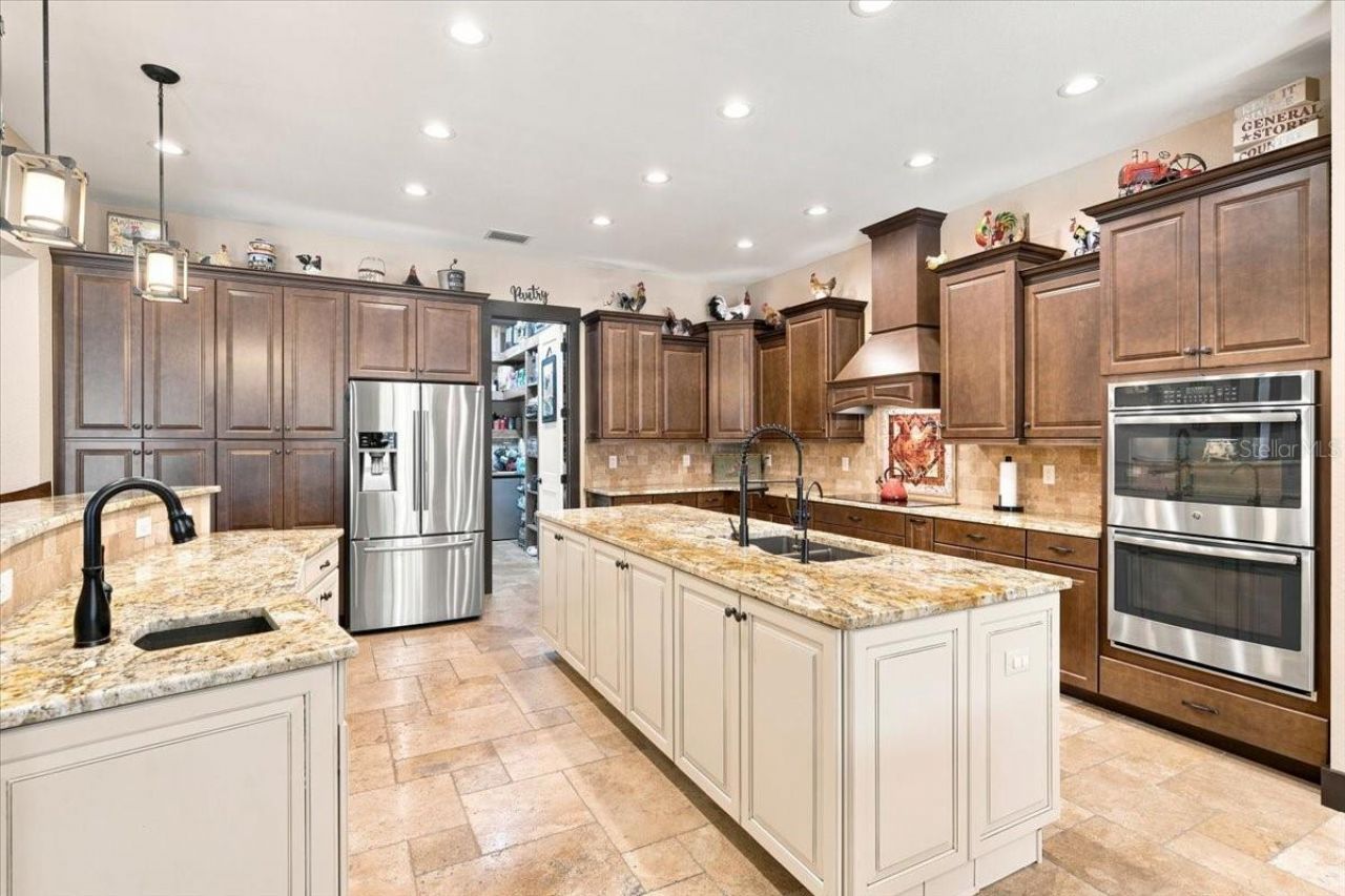 408 Hawk Talon Drive, Lithia, FL 33547 Photo