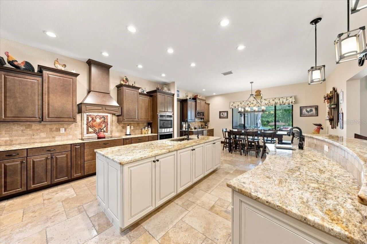 408 Hawk Talon Drive, Lithia, FL 33547 Photo