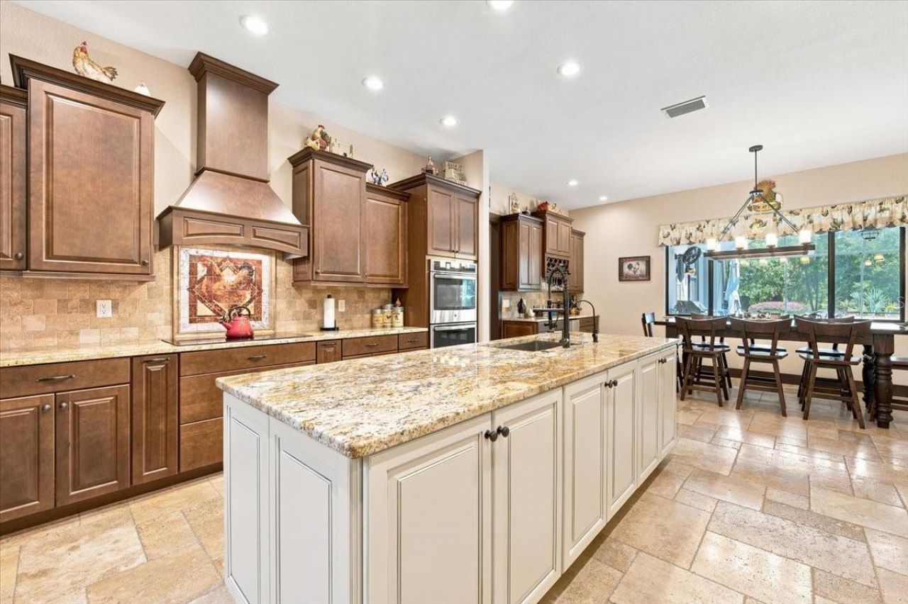 408 Hawk Talon Drive, Lithia, FL 33547 Photo