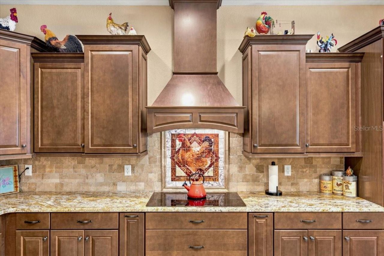 408 Hawk Talon Drive, Lithia, FL 33547 Photo