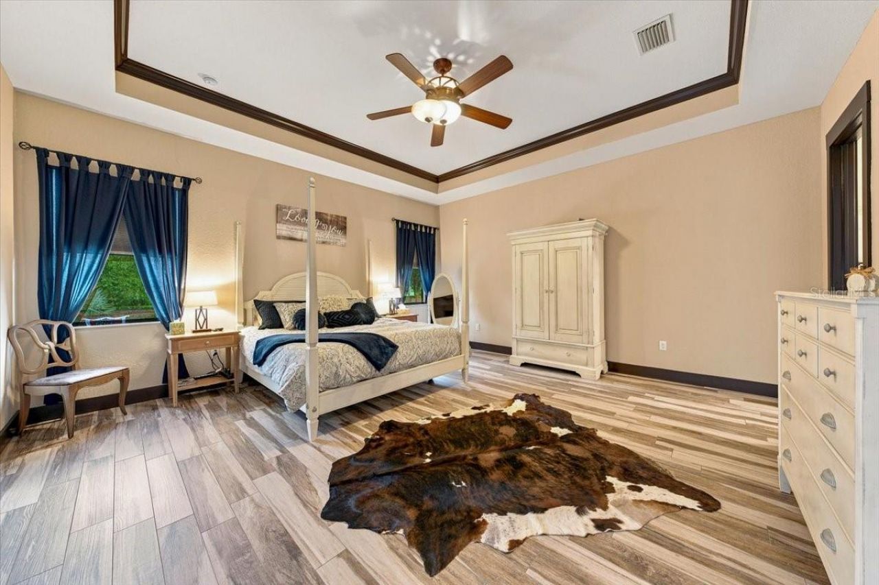 408 Hawk Talon Drive, Lithia, FL 33547 Photo