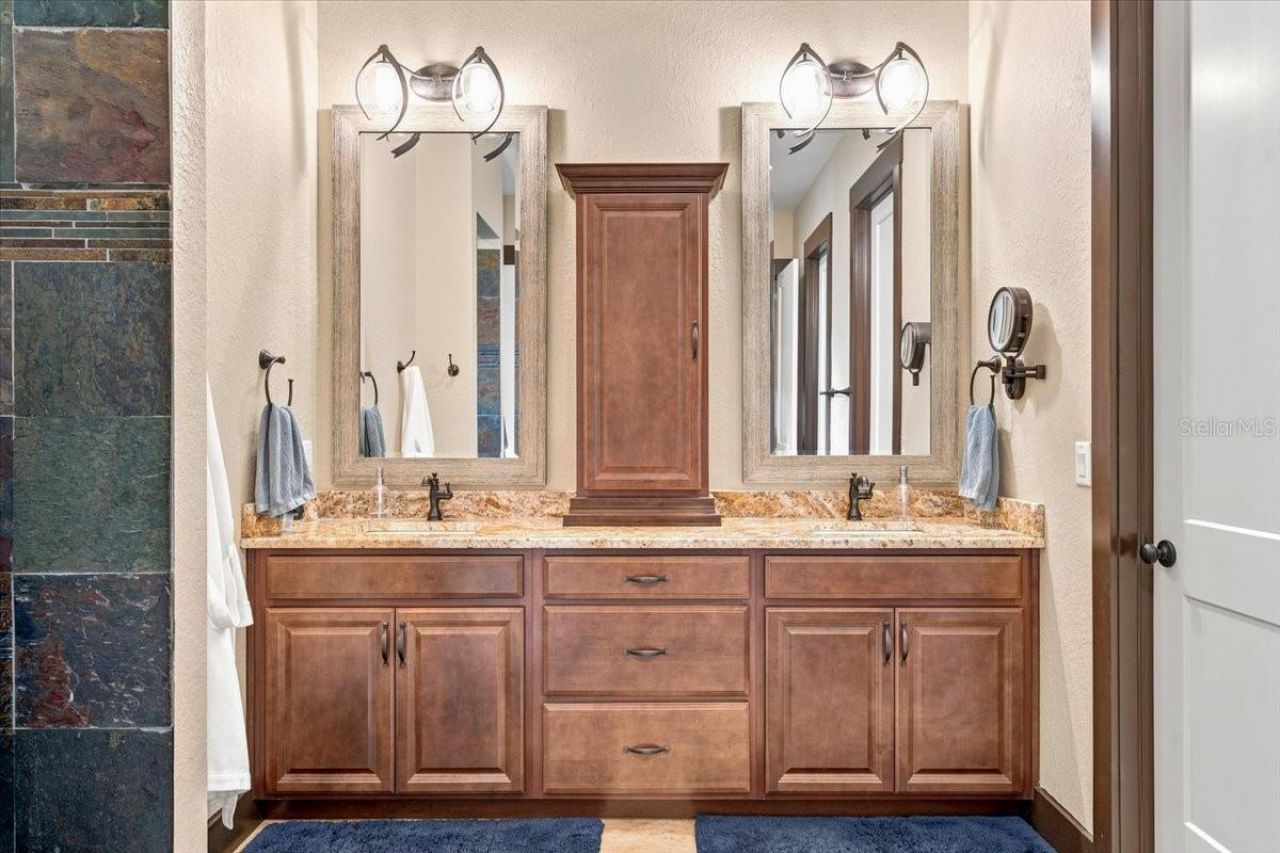 408 Hawk Talon Drive, Lithia, FL 33547 Photo