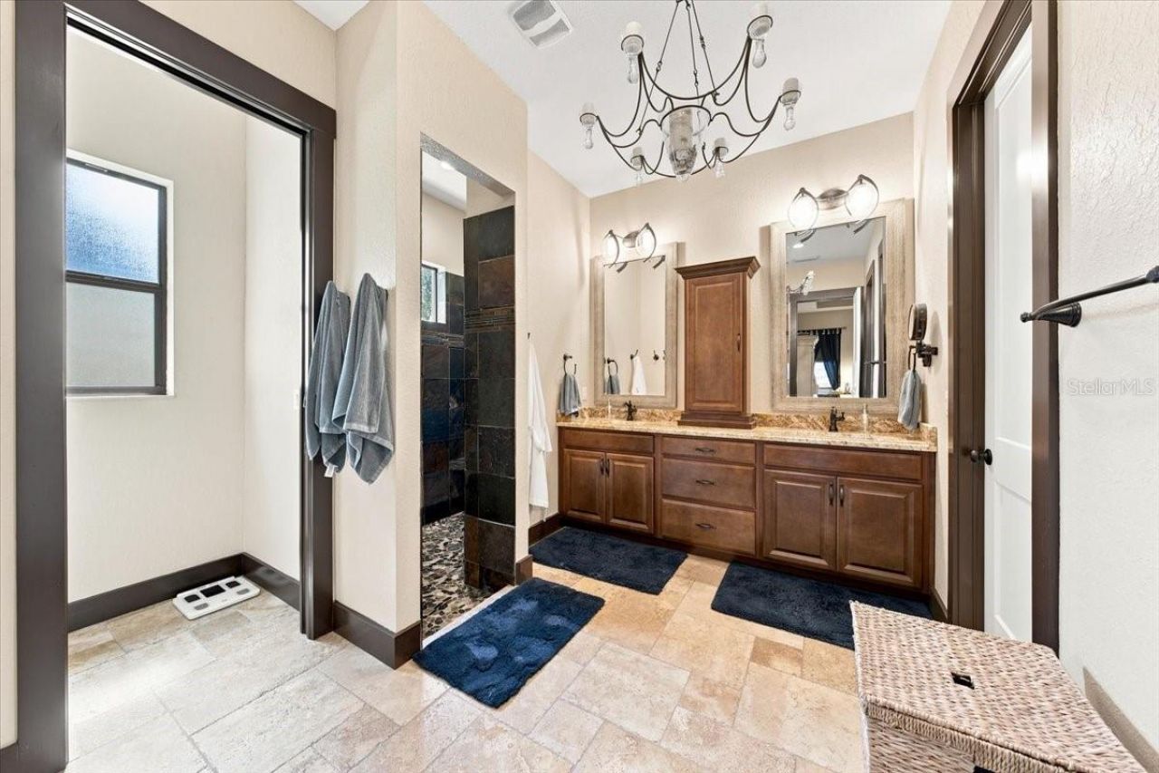 408 Hawk Talon Drive, Lithia, FL 33547 Photo