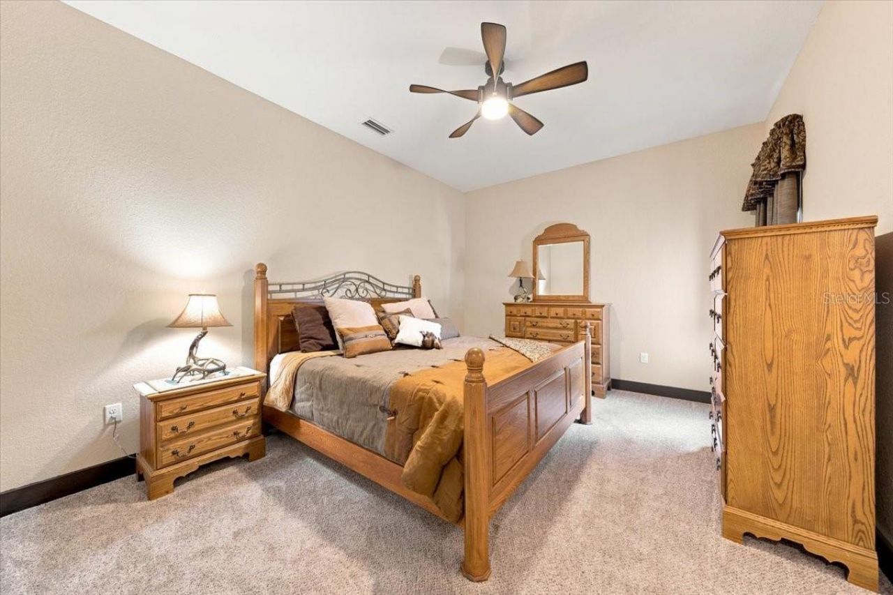 408 Hawk Talon Drive, Lithia, FL 33547 Photo