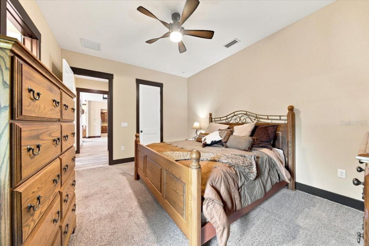 408 Hawk Talon Drive, Lithia, FL 33547 Photo