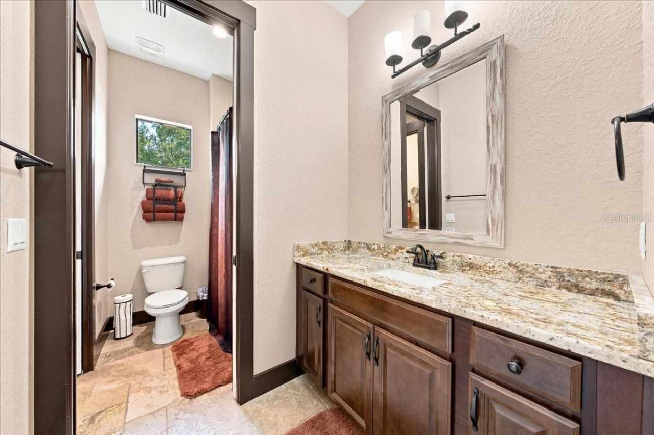 408 Hawk Talon Drive, Lithia, FL 33547 Photo