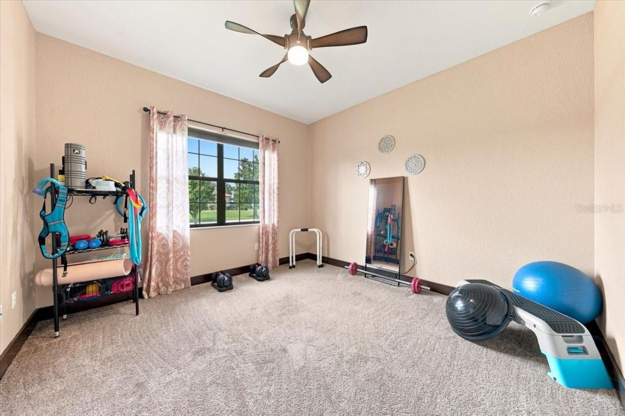 408 Hawk Talon Drive, Lithia, FL 33547 Photo