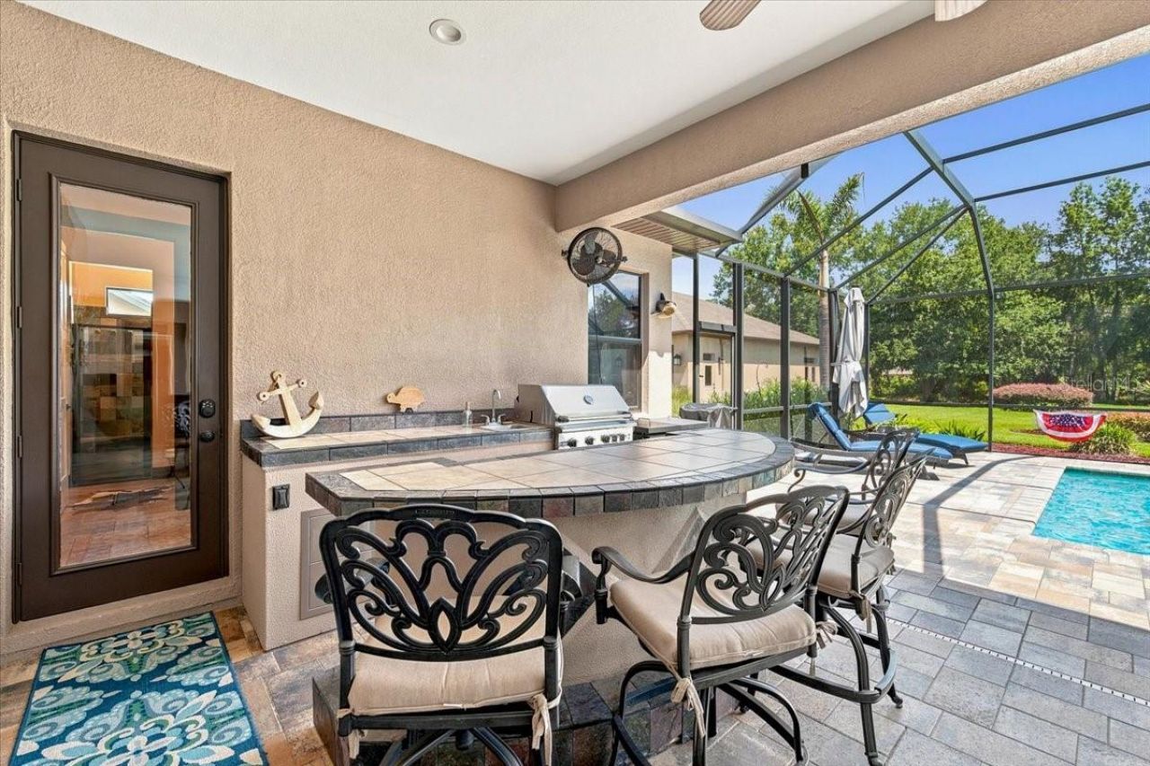 408 Hawk Talon Drive, Lithia, FL 33547 Photo