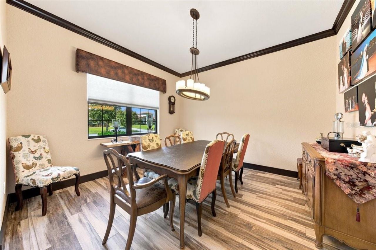 408 Hawk Talon Drive, Lithia, FL 33547 Photo