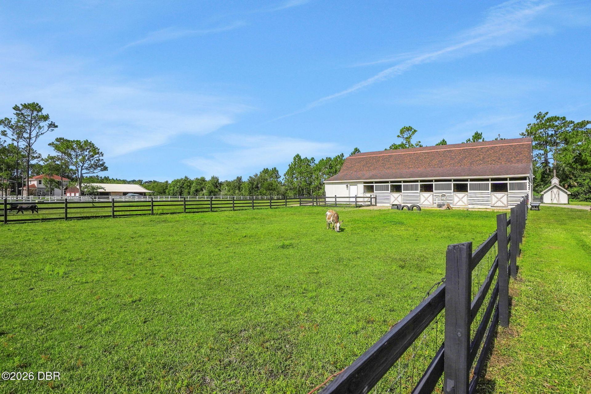 260 Spring Forest Drive, New Smyrna Beach, FL 32168 Photo