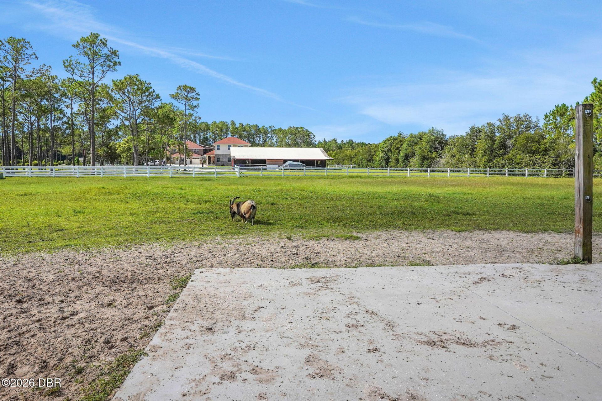 260 Spring Forest Drive, New Smyrna Beach, FL 32168 Photo