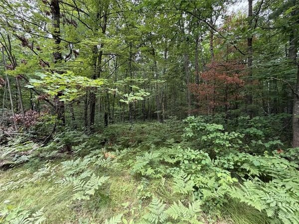 Lot 1 Nor Wis Road, Hayward, WI 54843
