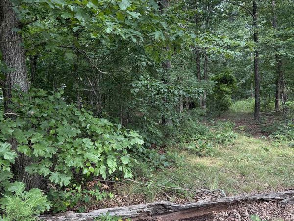 2830 tiger b Road , Drasco, AR 72530