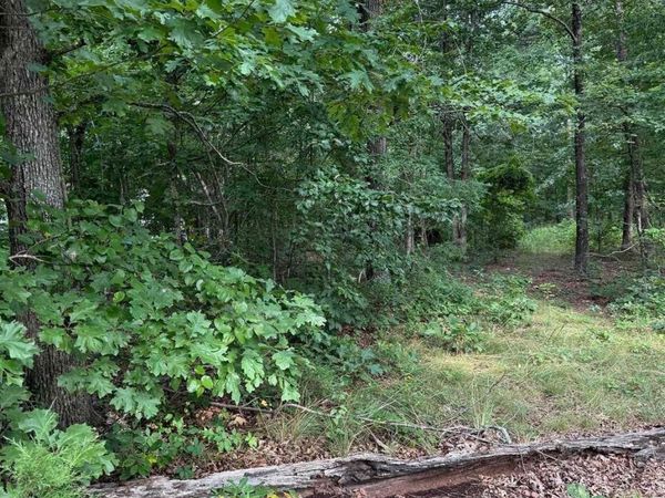 2830 tiger b Road, Drasco, AR 72530