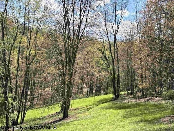 TBD Porterfield Road, Philippi, WV 26416