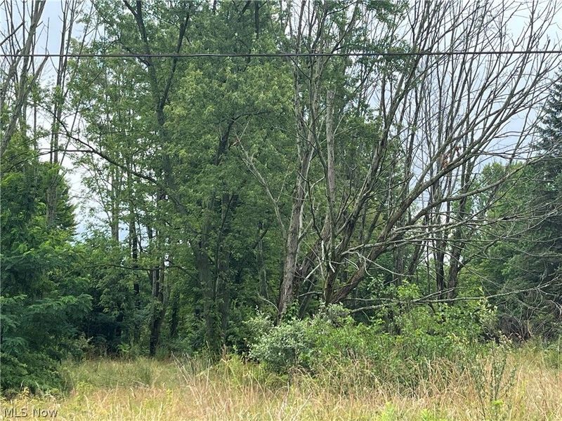 Stanley Road, Garrettsville, OH 44231 Photo 3