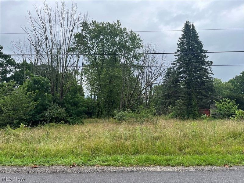 Stanley Road, Garrettsville, OH 44231 Photo 5