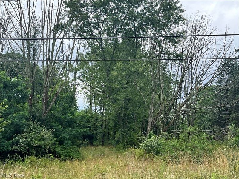 Stanley Road, Garrettsville, OH 44231 Photo 6