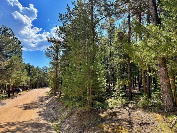 312 Ridge Rd, Ward, CO 80481