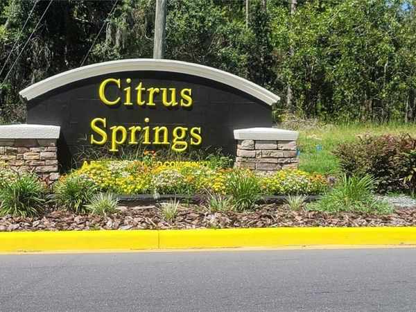 10339 N G MARTINELLI BOULEVARD , CITRUS SPRINGS, FL 34433