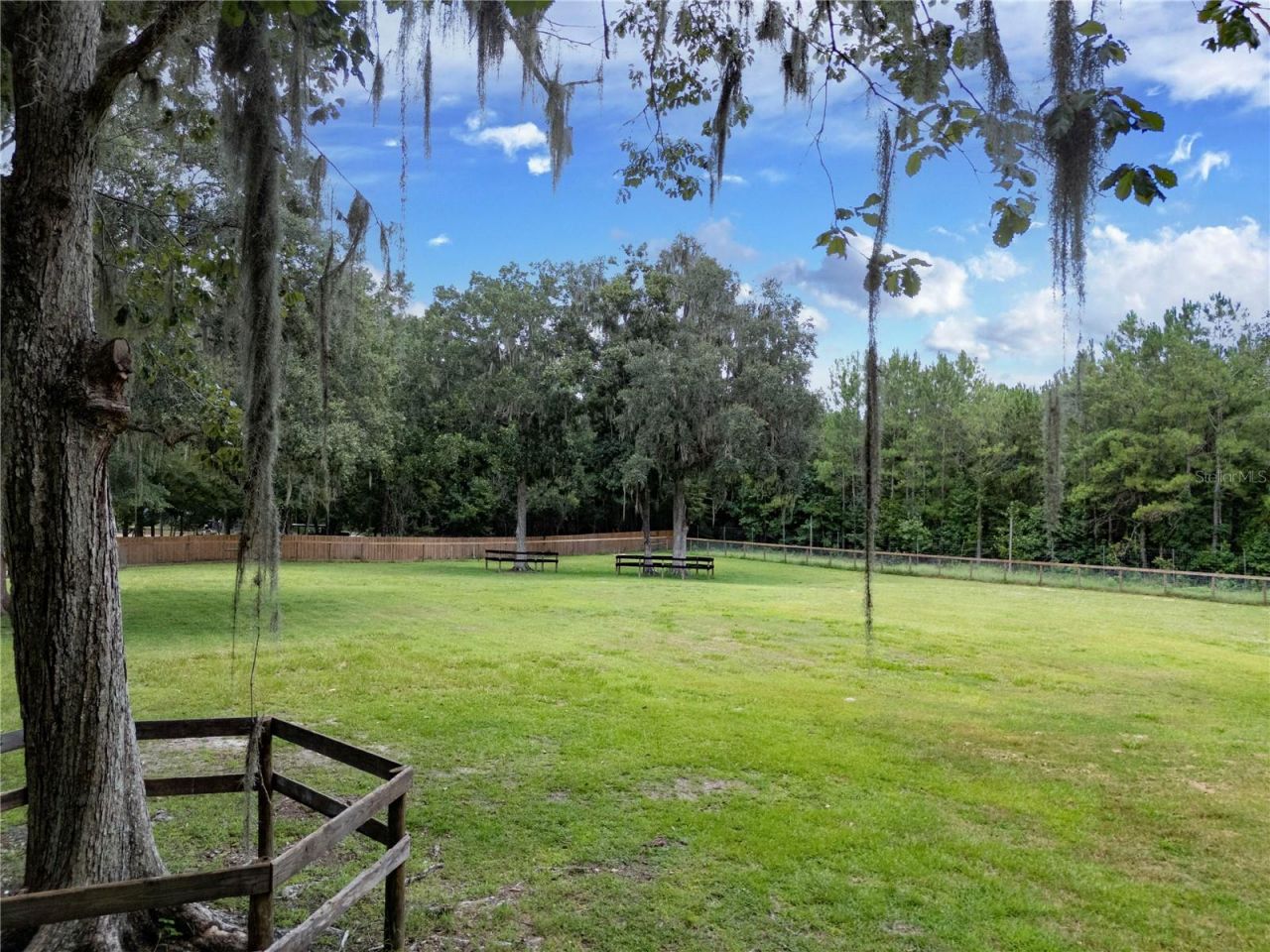 18251 NW 141st Avenue, Williston, FL 32696 Photo