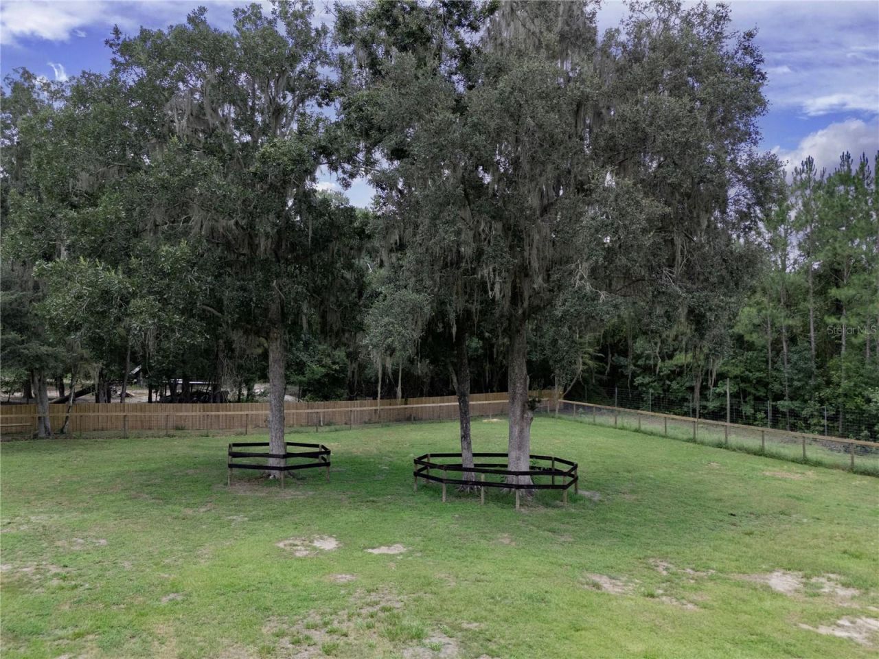 18251 NW 141st Avenue, Williston, FL 32696 Photo